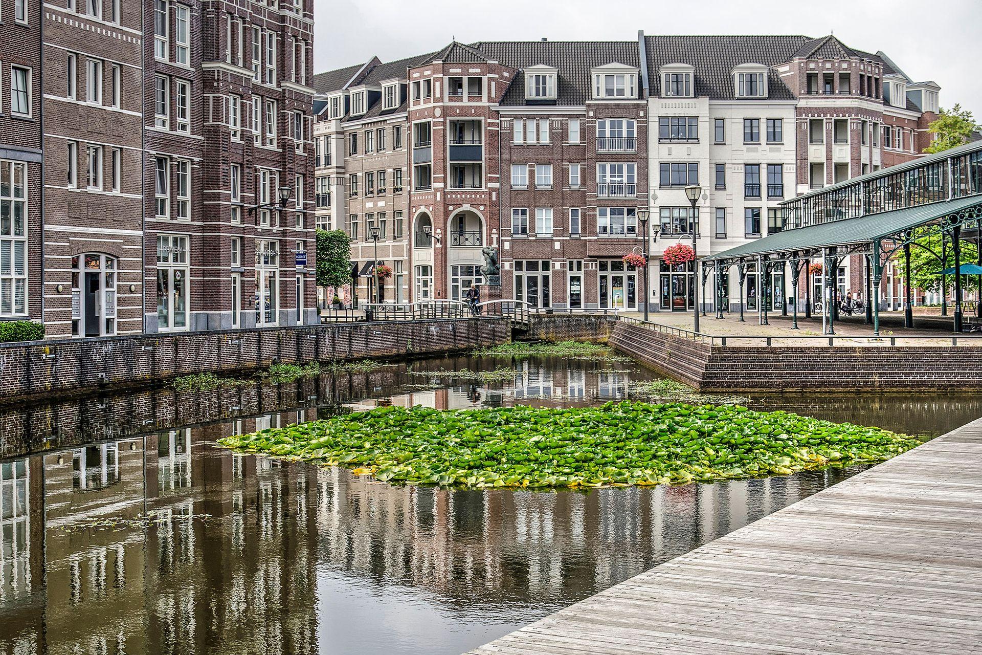 Ondernemen in Helmond, wij houden je IT draaiend