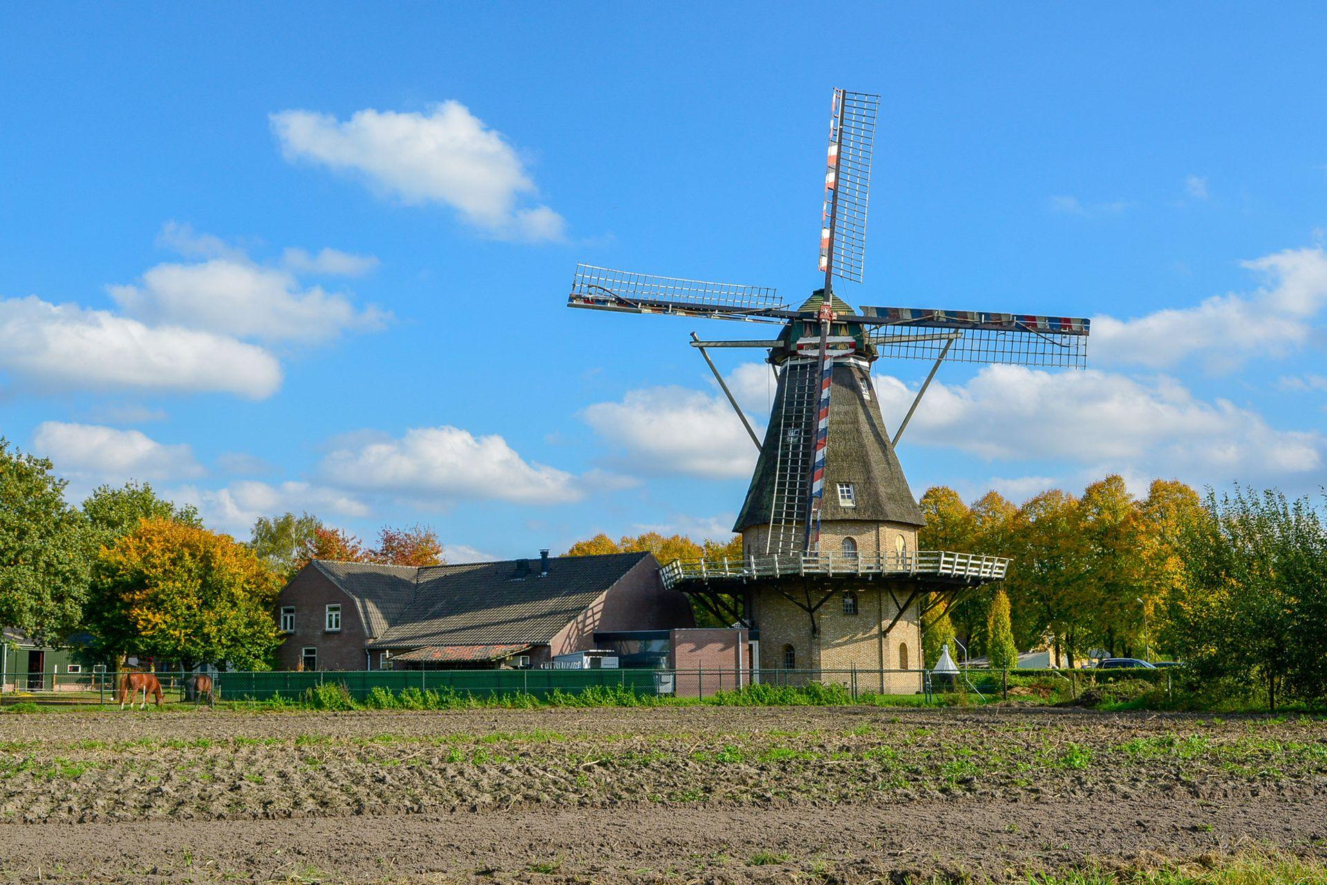 Ondernemen in Veldhoven, wij houden je IT draaiend